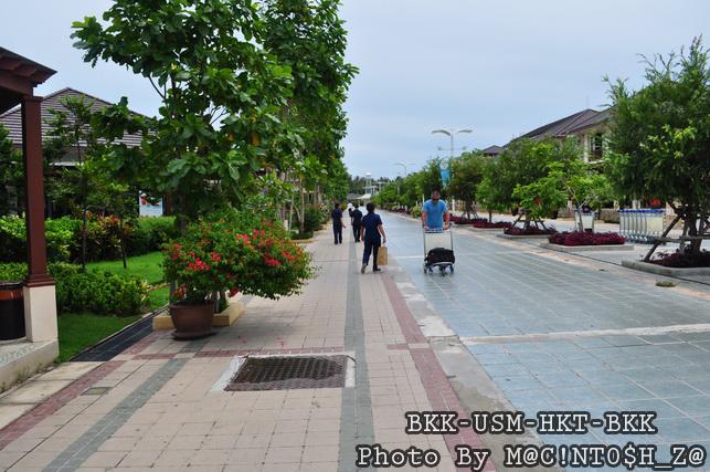 DSC_1008_resize.jpg